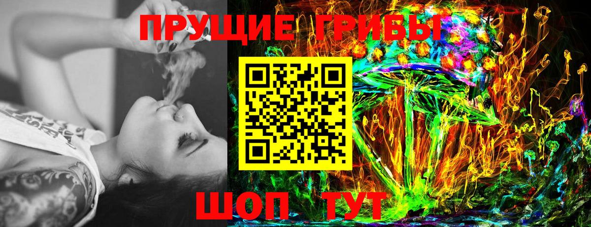 Псилоцибиновые грибы Cubensis Улан-Удэ